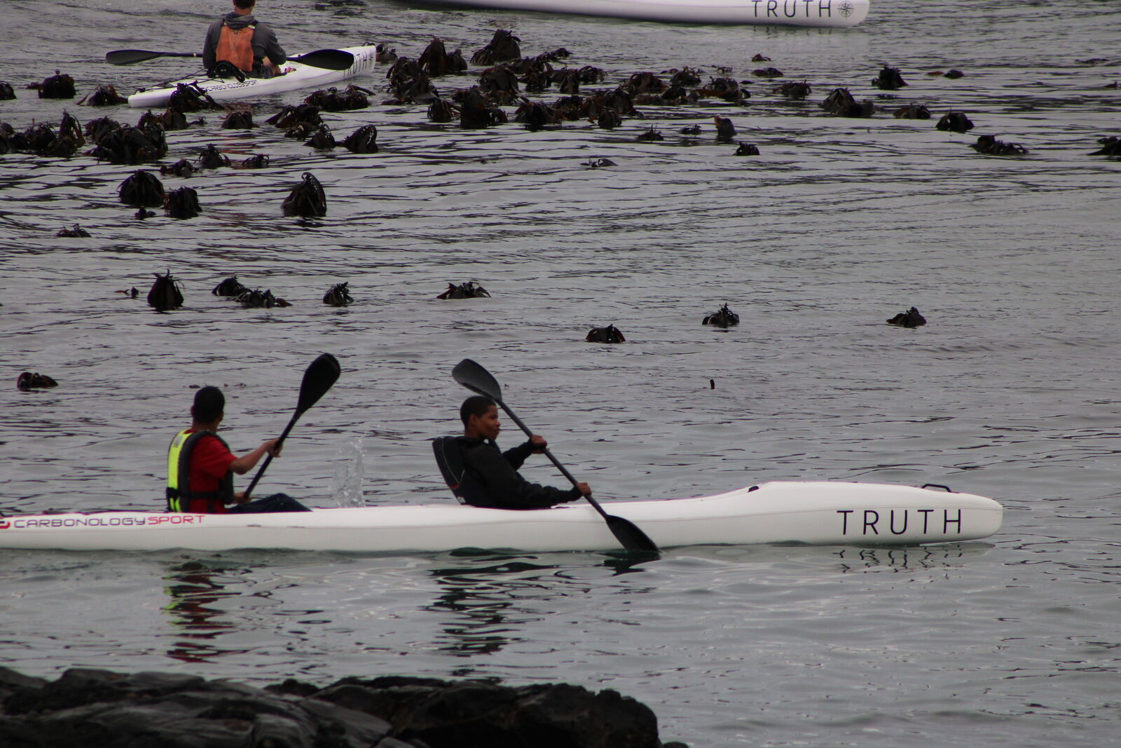 Paddling out among the seals