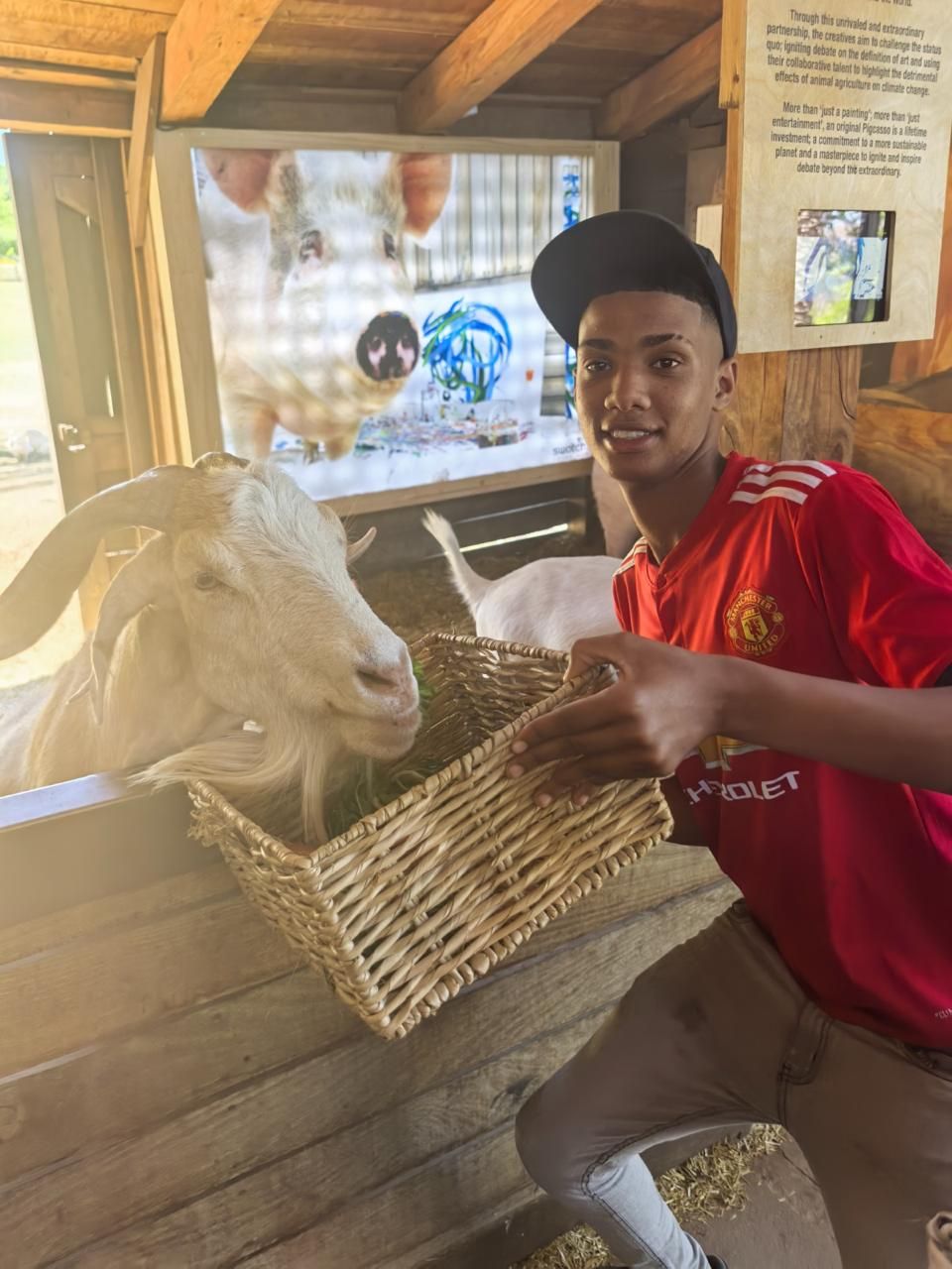 An educational farm visit with the programme